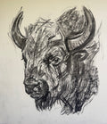 Bison